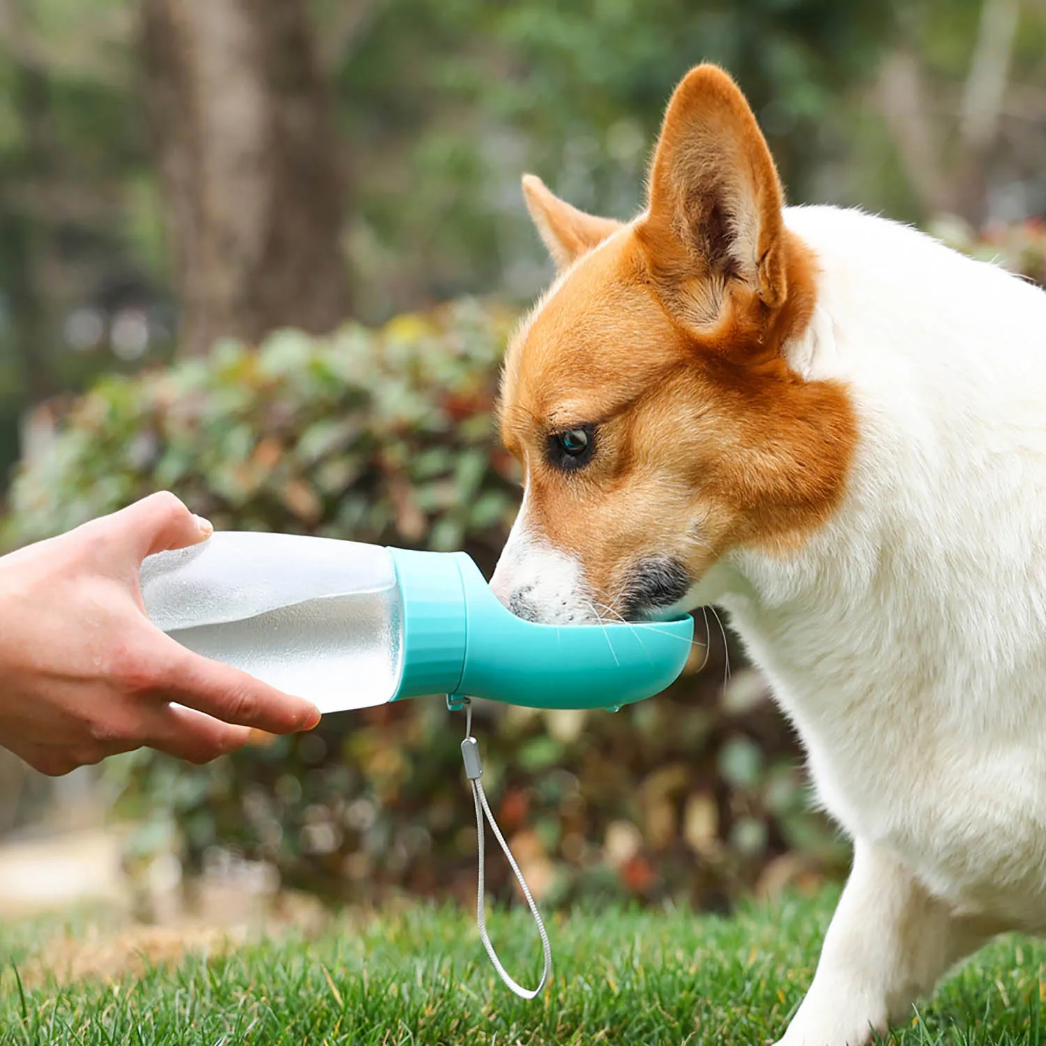 🐾 Portable Pet Water Bottle – Leak-Proof Travel Hydration for Dogs & Cats (300ml/500ml)