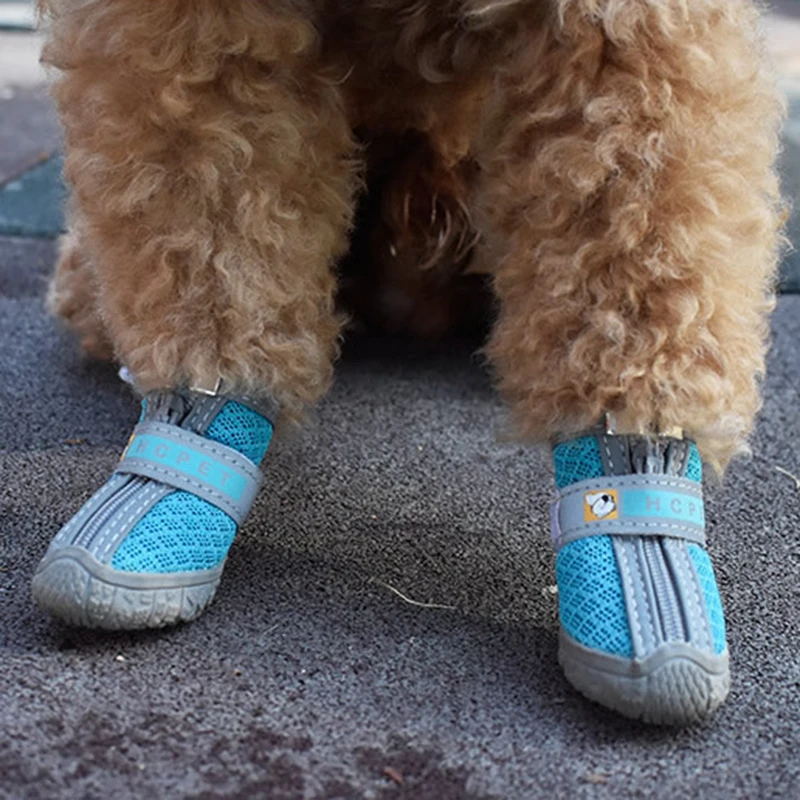 🐾 Cozy Anti-Slip Winter Dog Boots