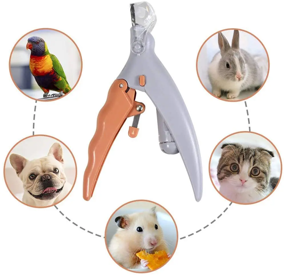 🐾✨ LED Pet Nail Clipper — Professional Cat & Dog Nail Trimmer with Safety Light & Stainless Steel Blades 💡✂️