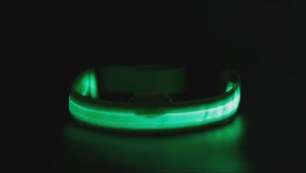 🔦✨ LED Safety Glow Collar for Dogs & Cats (USB Rechargeable)