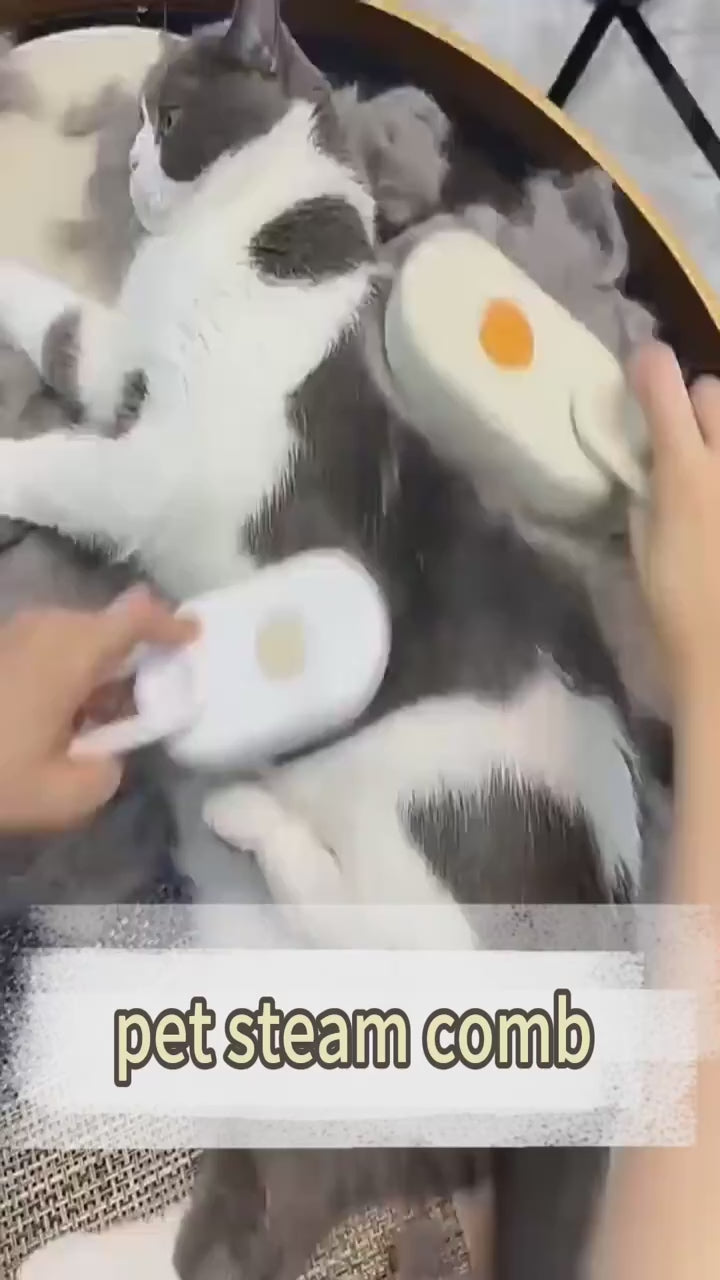 3-in-1 Steam Pet Grooming Brush ✨ for Dogs & Cats